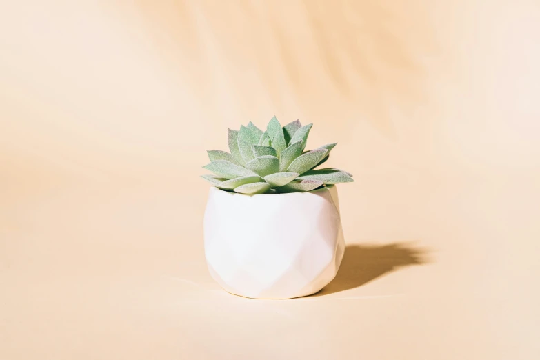 a small white planter sitting in the corner of a room