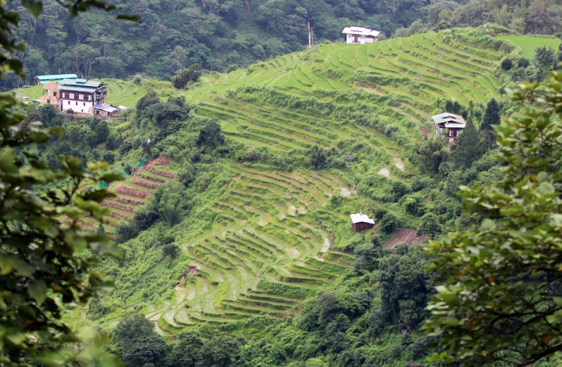 lush green fields are situated on the top of a steep slope