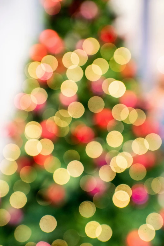 a green christmas tree that is in front of a window