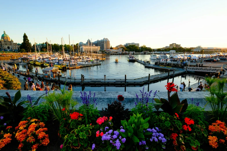 there are many boats at the dock