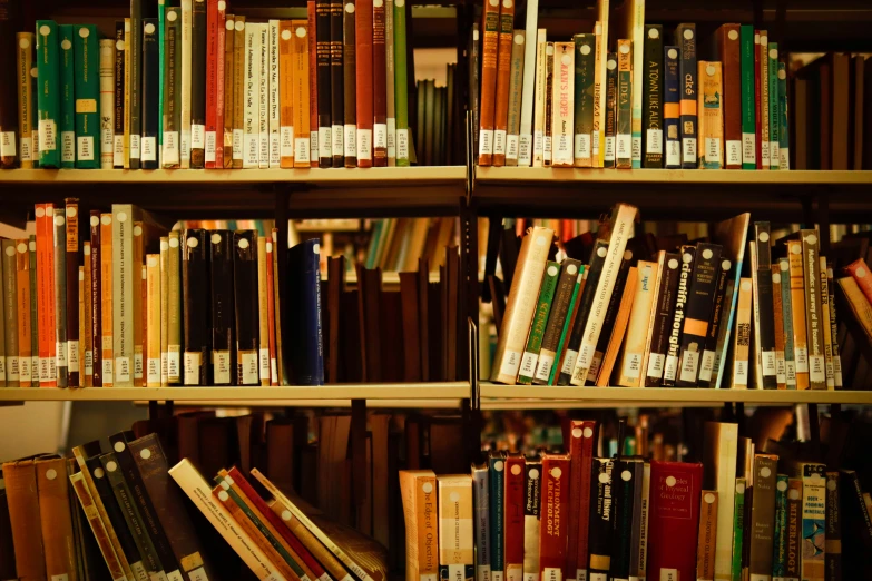 the books are all stacked on shelves in a row