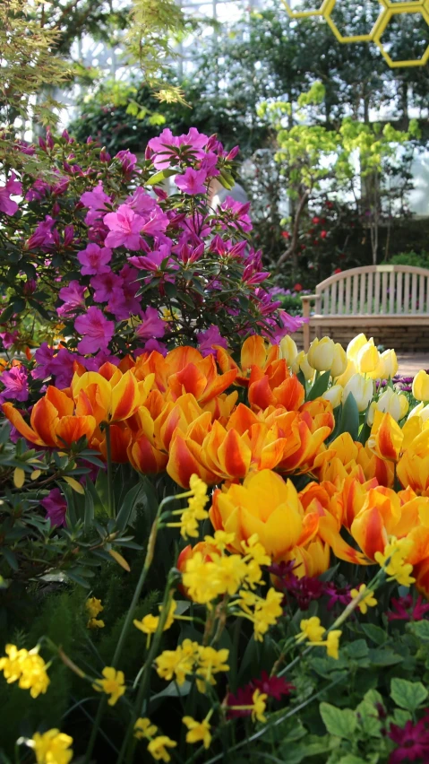 flowers are in the foreground of a park bench