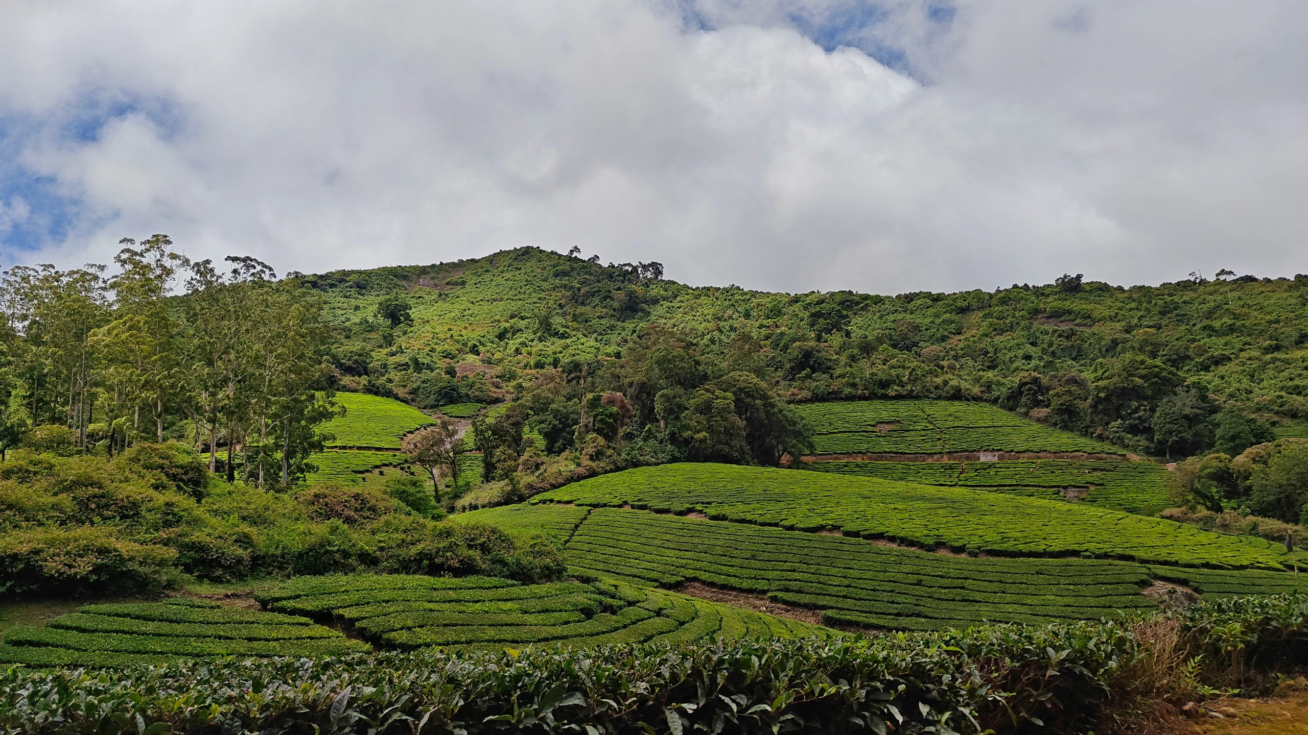 the sky is blue with clouds and a green mountain