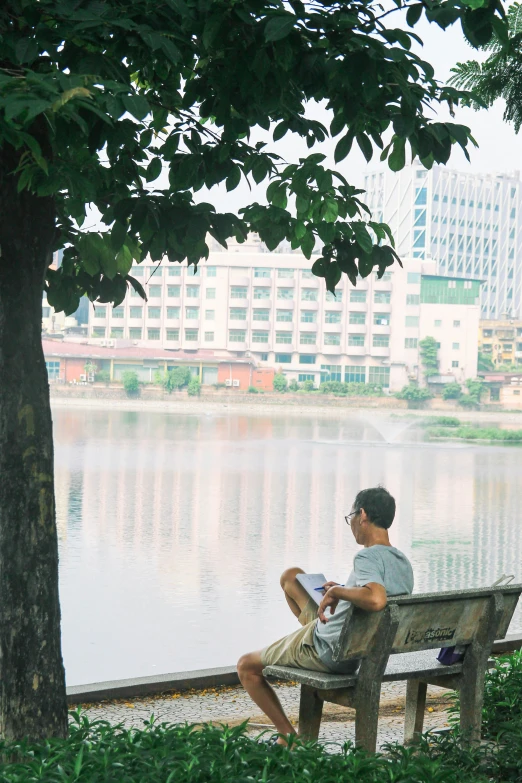 man sits alone on park bench by the water reading