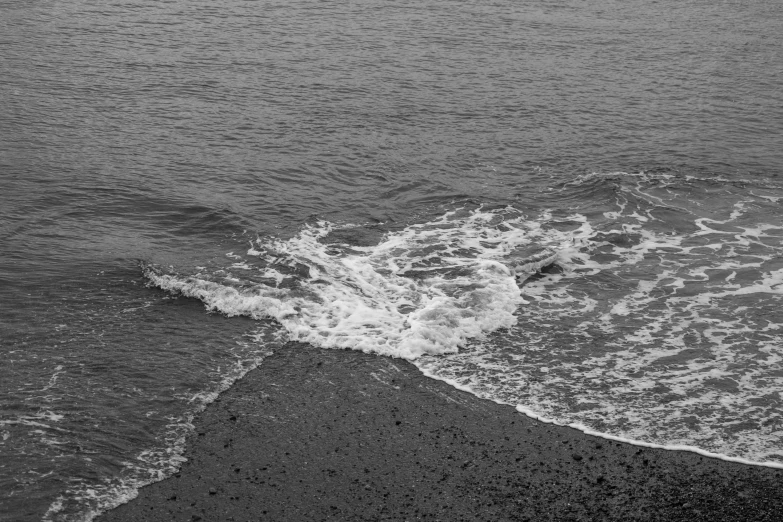 a beach with waves crashing onto it and a white bird flying over