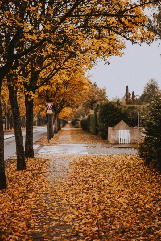 the walkway leads to an outdoor bathroom that has been covered with fallen leaves