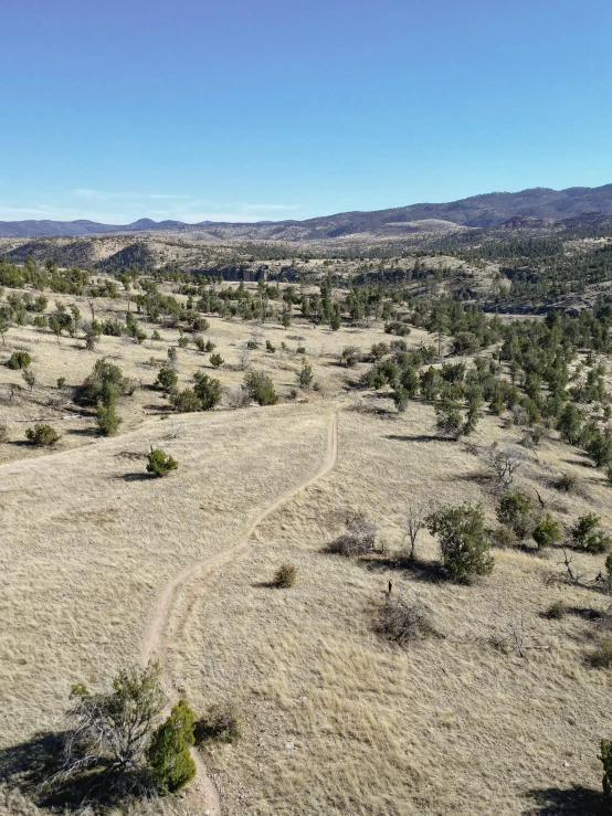 a field is shown with hills and trees