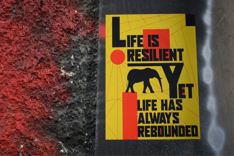 sticker on sidewalk warning of elephant roaming