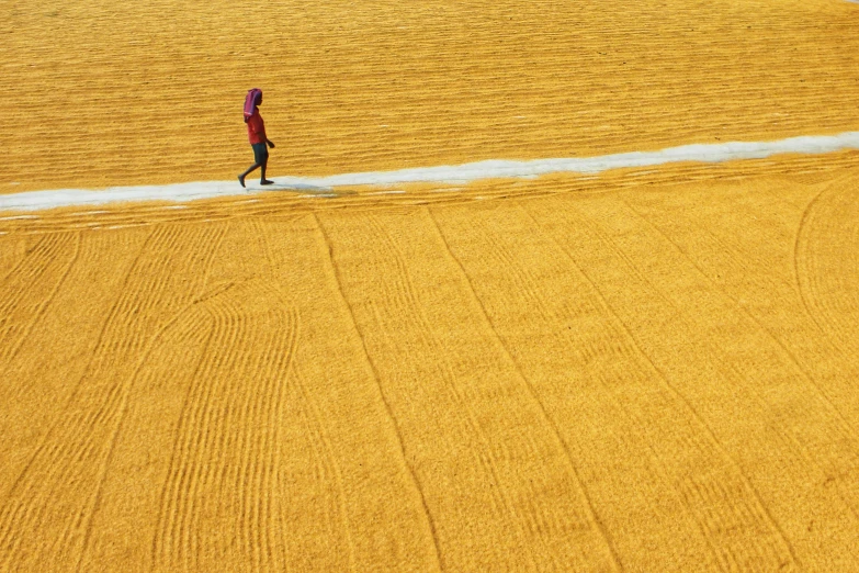 a person standing in a field of gold crops