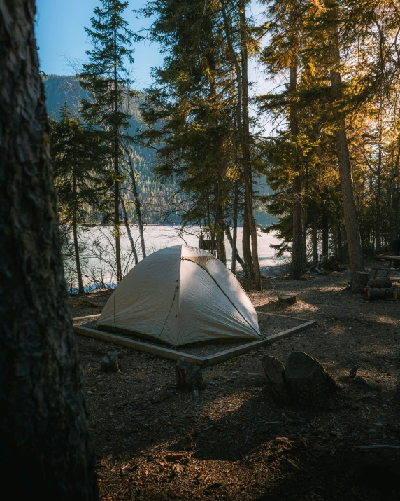 a tent pitched up to the ground in a forest