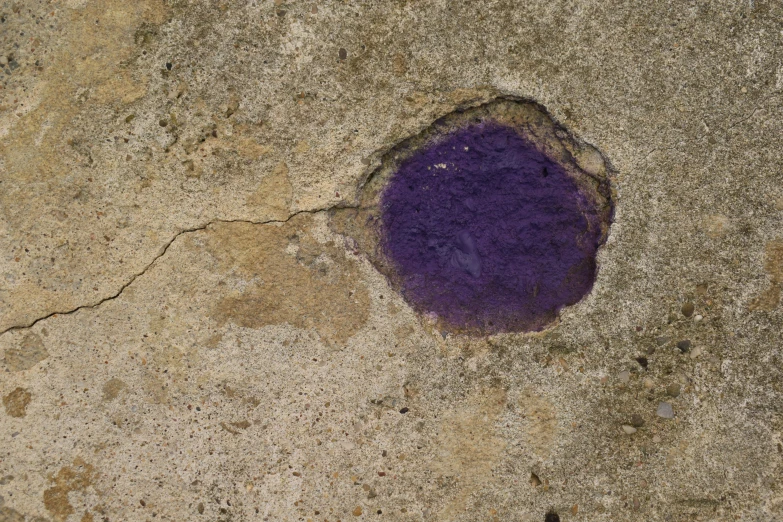 a purple patch of mud on the side of a cement road