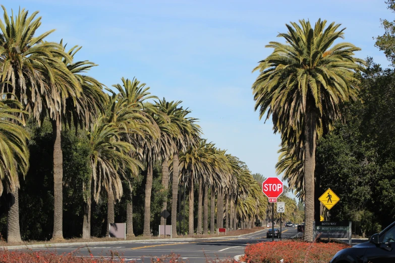 the street signs at the end of the road are clearly visible