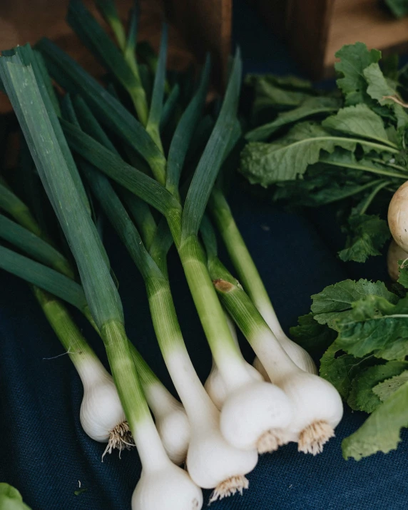 some veggies laid out on a table in a pile