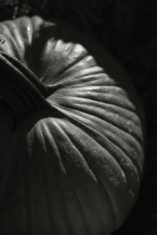 the back side of a round pillow on a chair