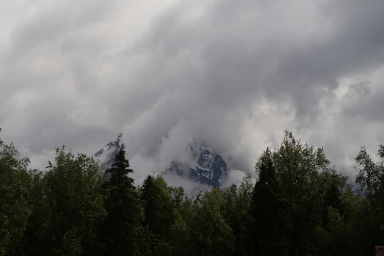 clouds loom over the mountains behind evergreen trees