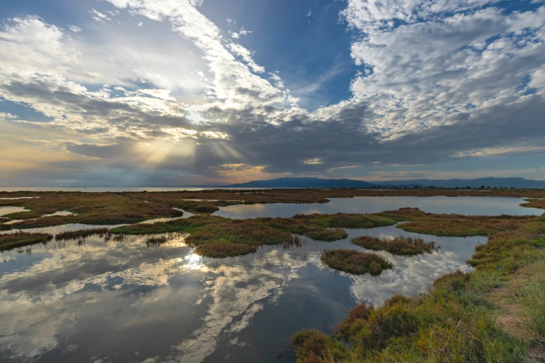 an expanse of water near a grassy field and a large hill