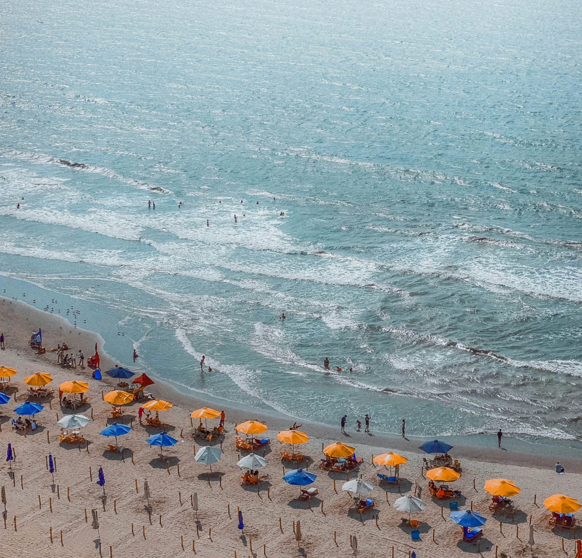 several beach umbrellas lined up along the shoreline on a sunny day