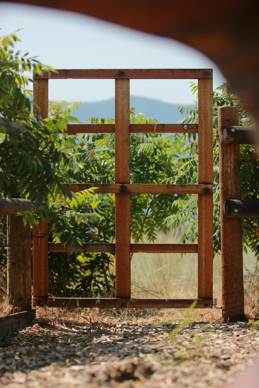 an old wooden gate in the woods looking out