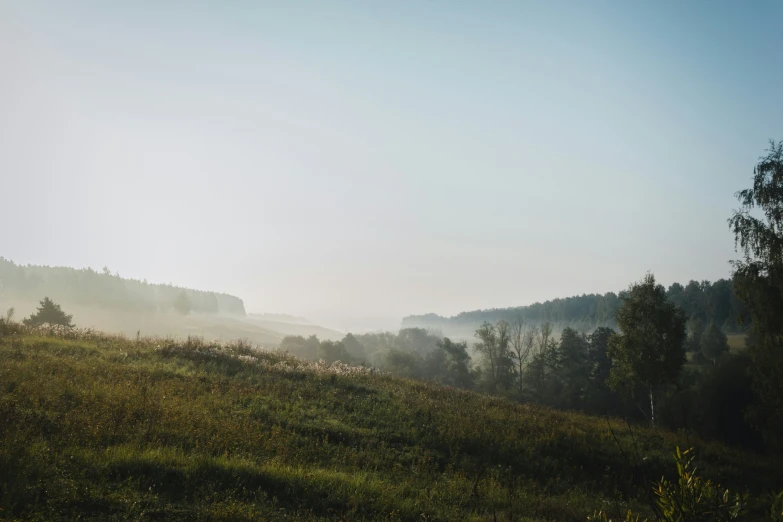 fog in the distance on a grassy hillside