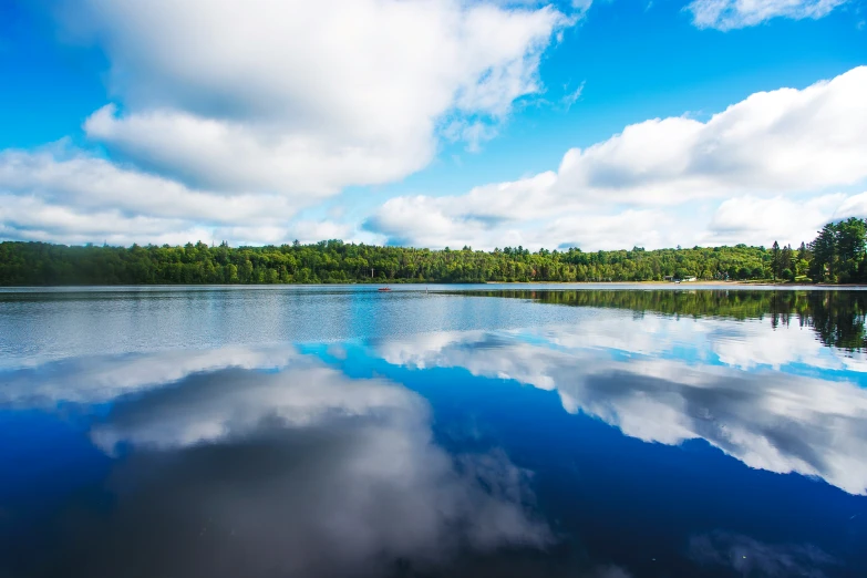 sky reflection in a calm lake surrounded by trees