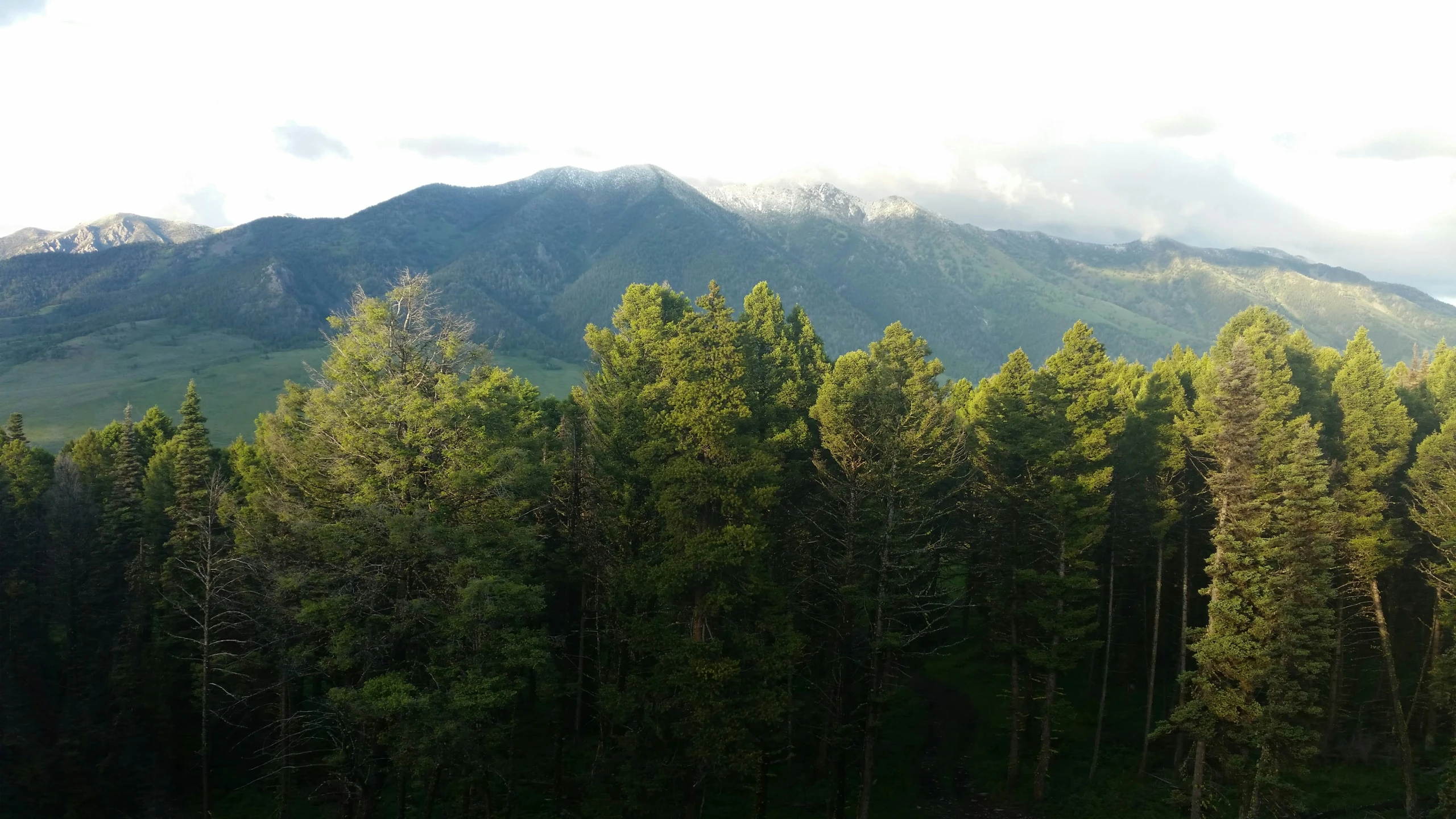 the mountains are in the distance, and there are trees that look to be covering a few patches of land