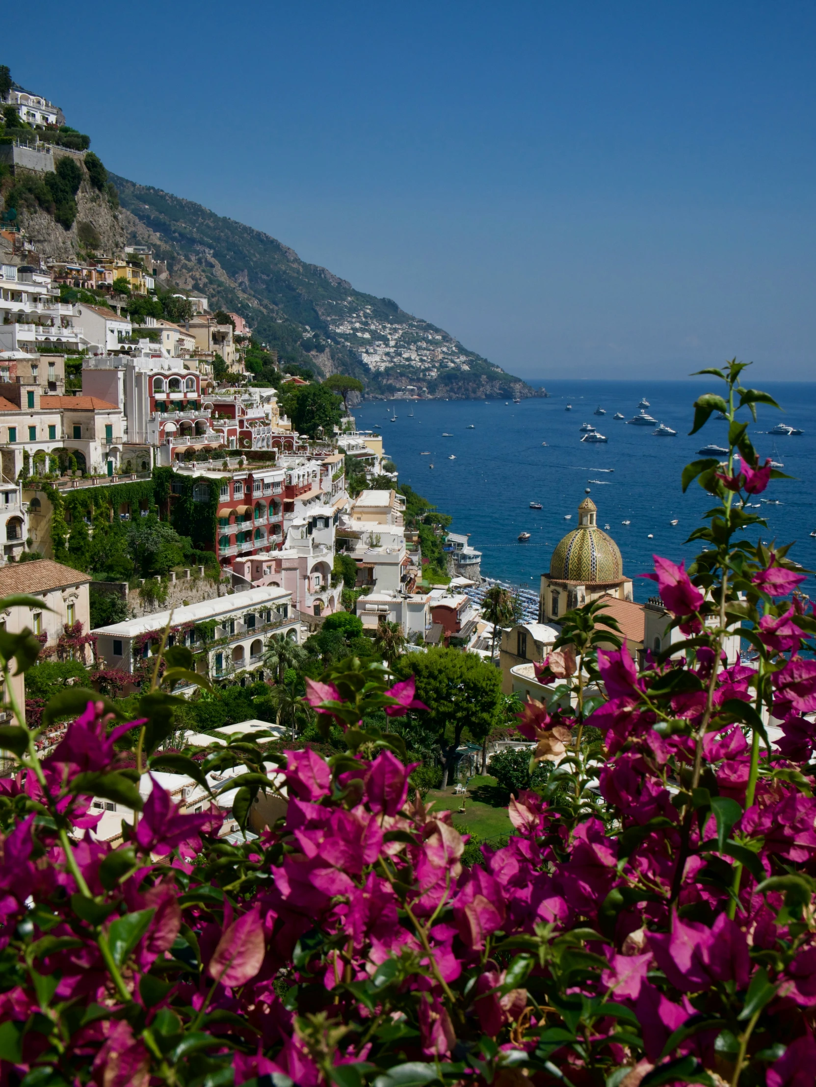 flowers grow in the foreground as the ocean and mountains overlook