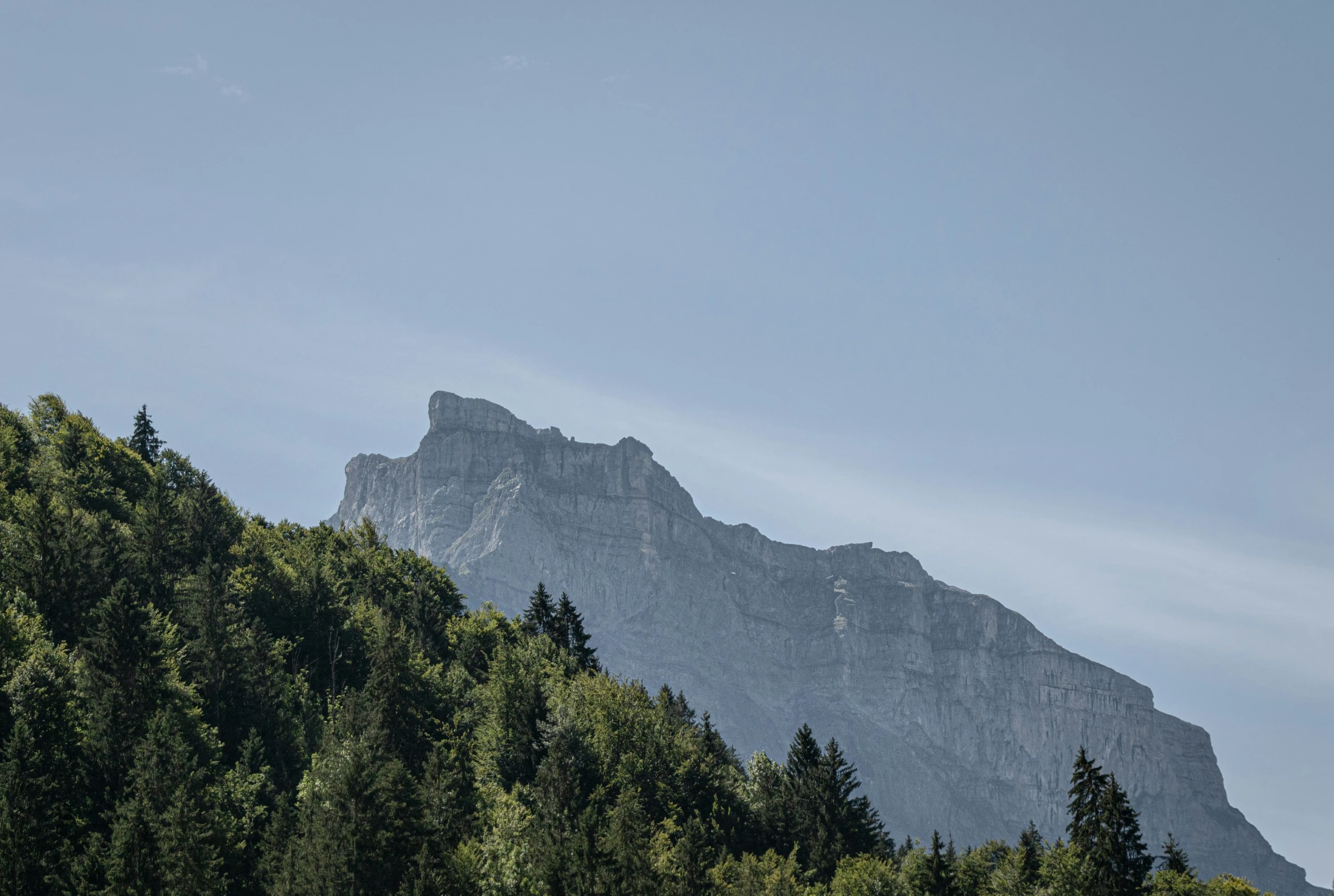 the top of some very tall mountains and trees