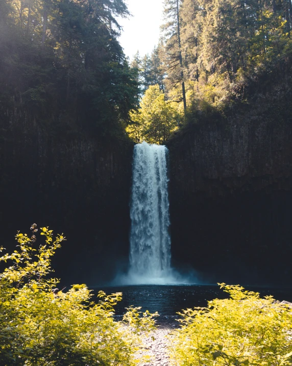 a waterfall with green plants in the foreground