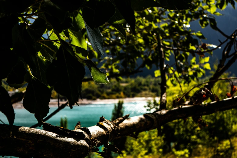 an image of a view of the mountains and water