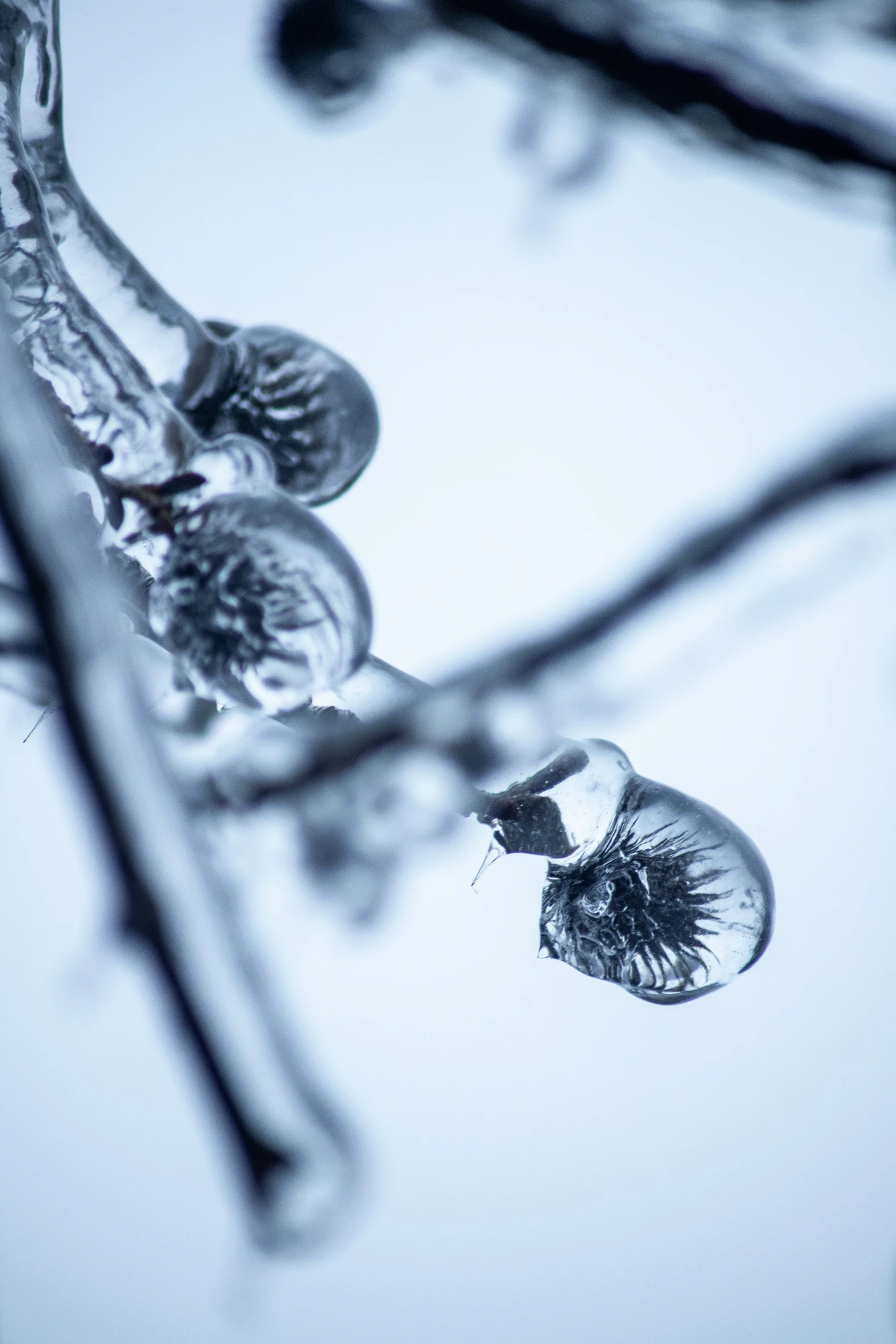 a drop of water floating off a leaf