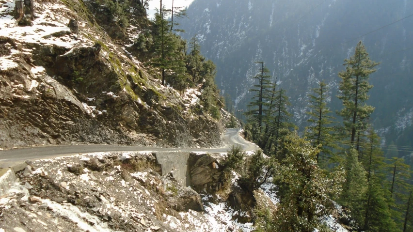 a mountain road with trees on both sides