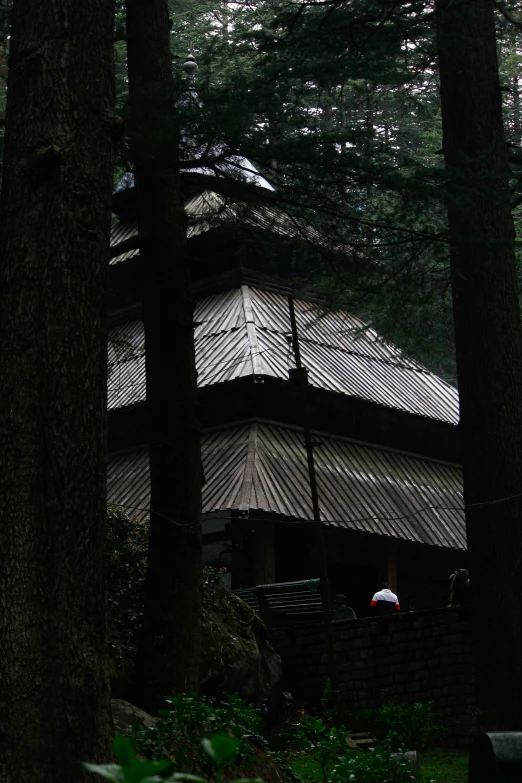 a picture of a tree with a building behind it