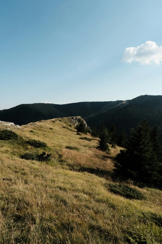 two people hiking up a grassy hill together