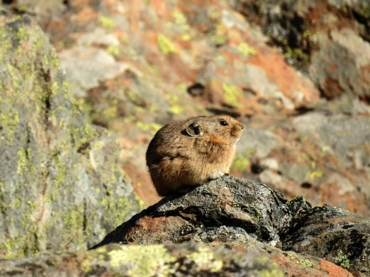 a small rock wall sitting next to a hillside