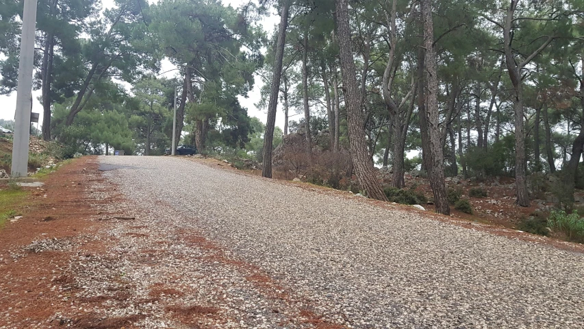 an empty, gravel road that has many trees