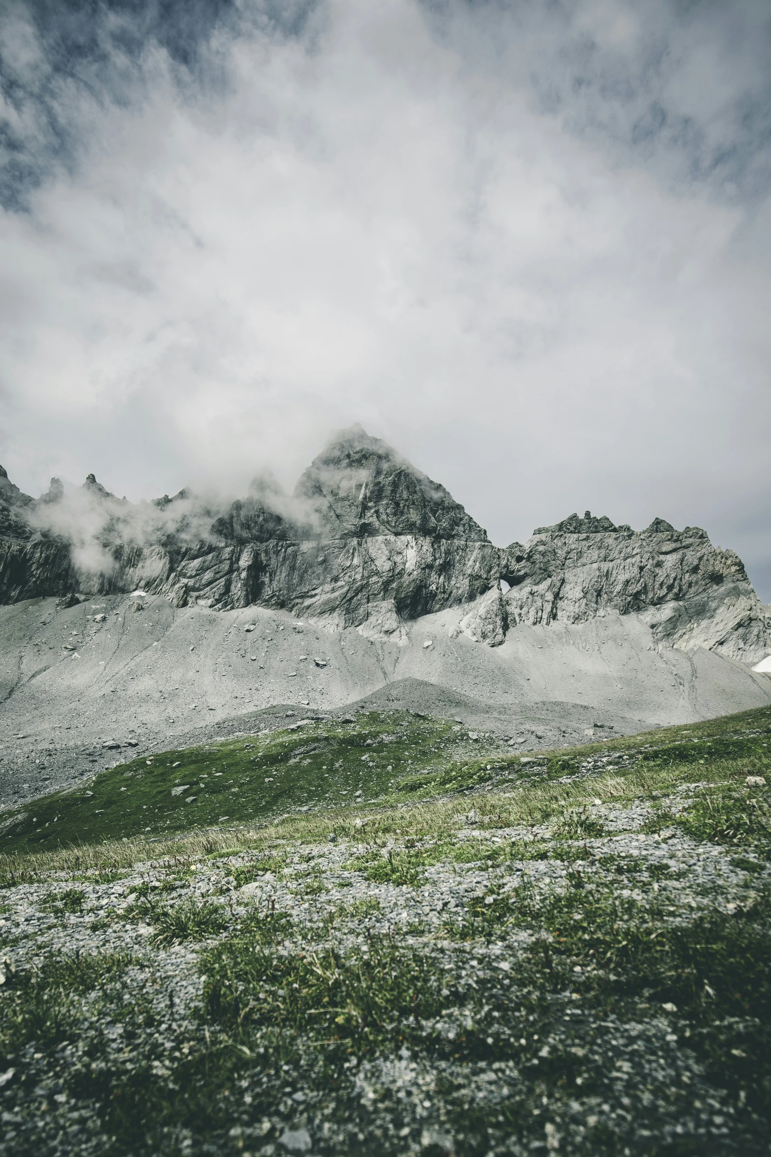 the grass is almost full of flowers as the mountains are covered in clouds