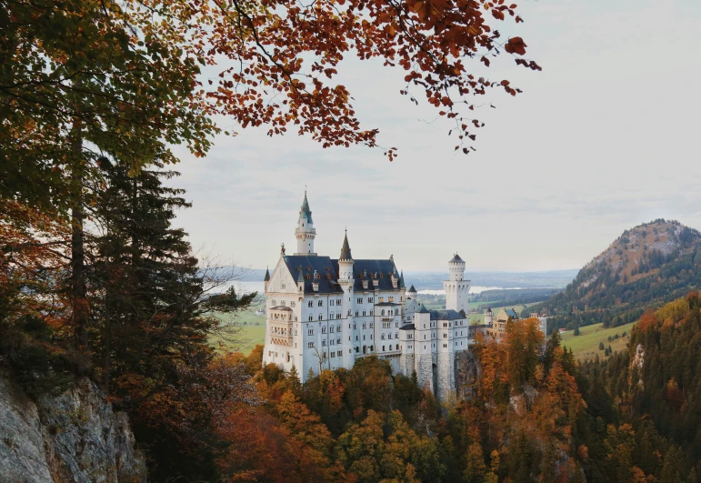 the castle has tall towers surrounded by trees