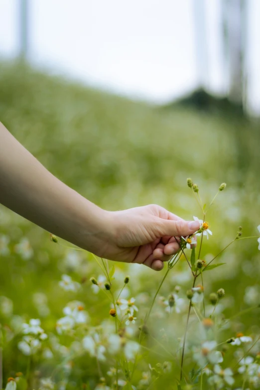 a woman holding a stalk with some flowers