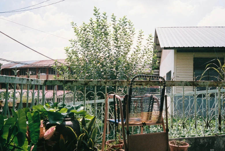 a small garden is growing near a house