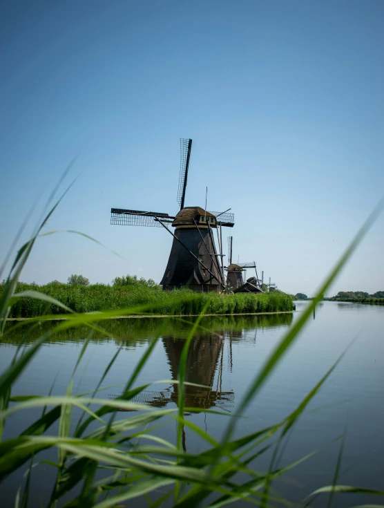 a windmill on the water surrounded by tall grass