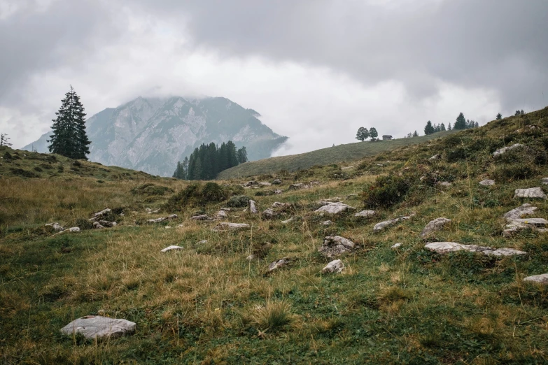 a hill covered in grass with mountains behind