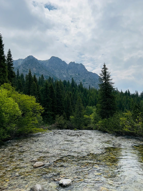 a body of water with several small trees around