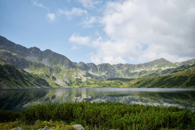 a view of mountains with some water, plants and a lake