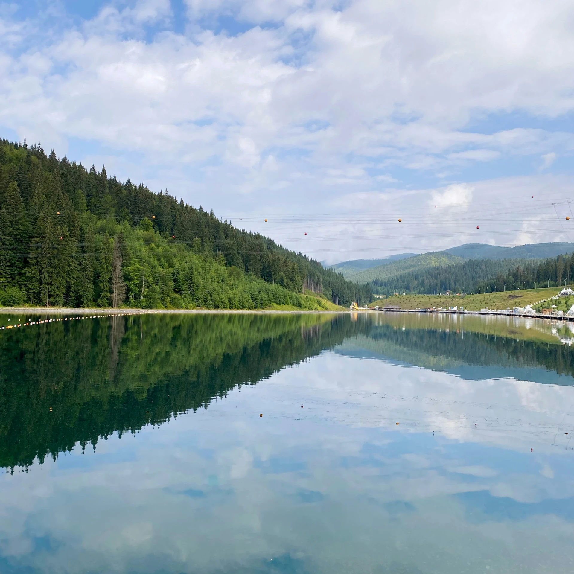 the calm water has some trees in it