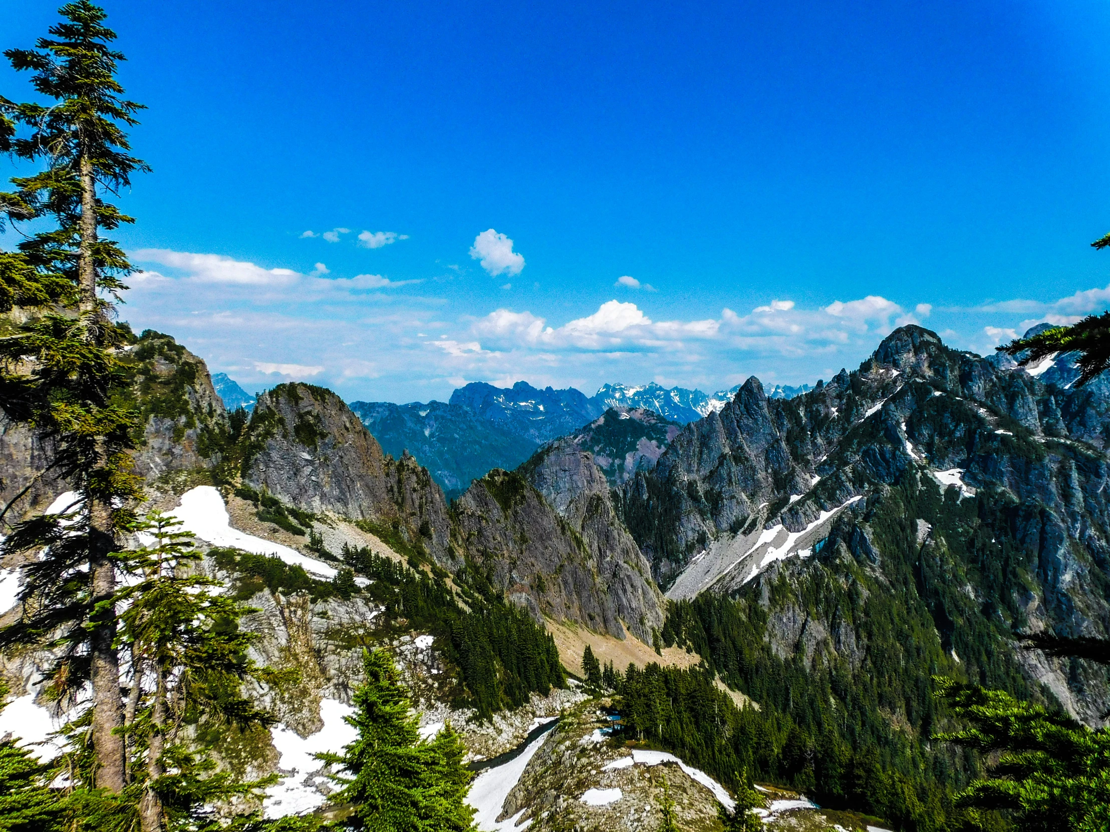 mountains are shown with many trees growing from them