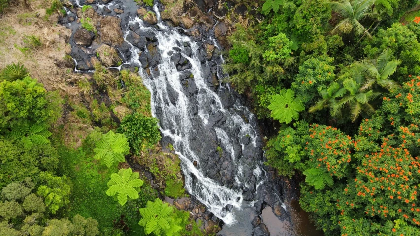 a large waterfall and a lush green forest