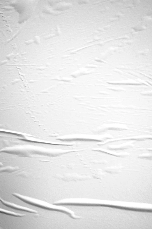 a person holding a skis on top of a snow covered slope