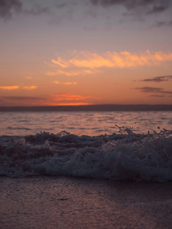 a bird on the beach with an ocean sunset in the background