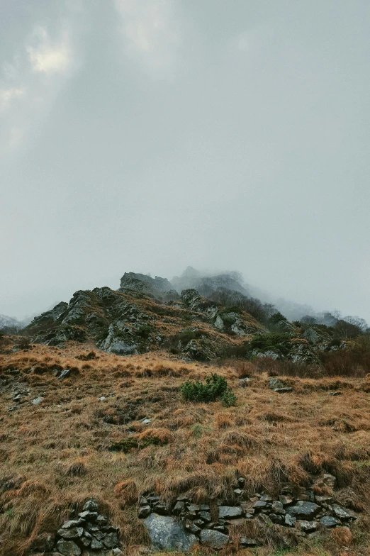 a lone horse in a field on a hill