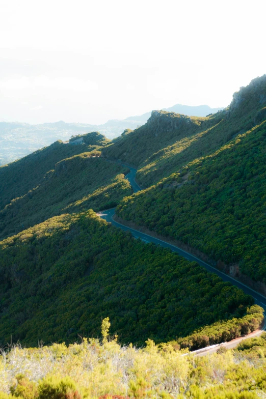 the road is winding with some trees near it